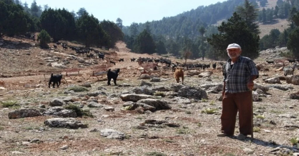 Büyükşehir, Geçmen Yaylasına Yeni Yol Açıyor