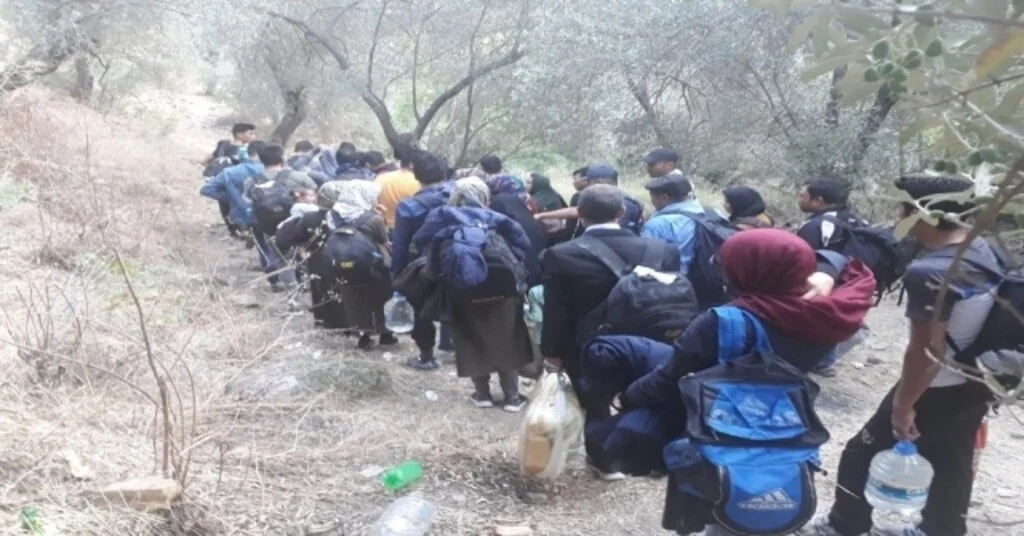 Çanakkalede 260 Mülteci Yakalandı