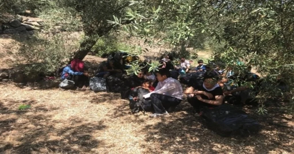 Çanakkalede 31 Mülteci Yakalandı