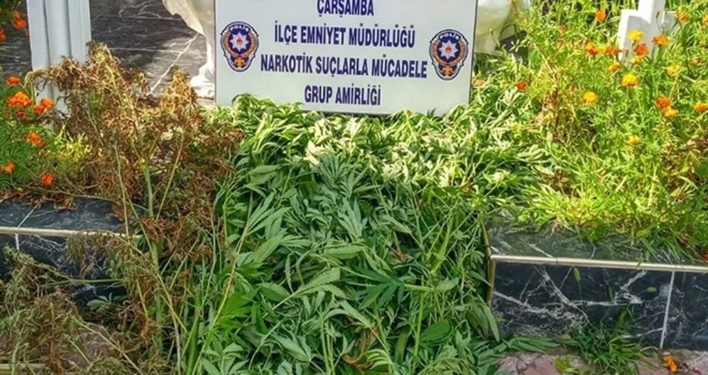 Çarşamba'da uyuşturucu operasyonları