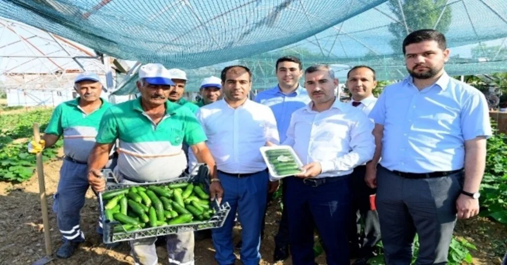 Çiftçilere 100 Bine Yakın Sebze Fidesi Dağıtılacak