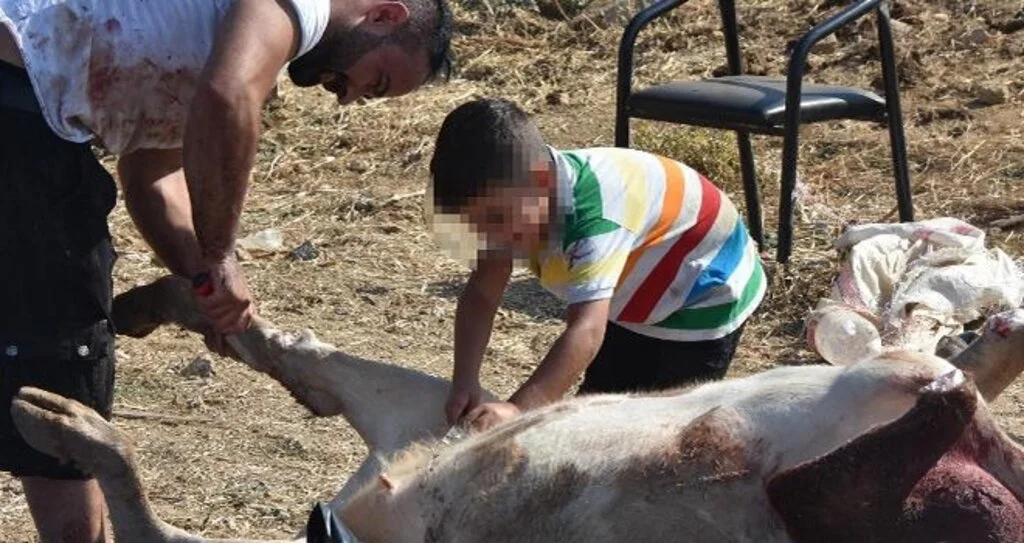 Çocuklara kurban  kesimi izletmeyin!