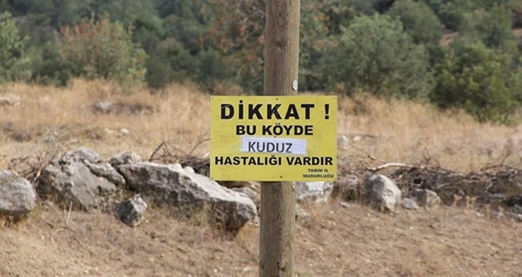 Çorum'da kuduz vak'ası