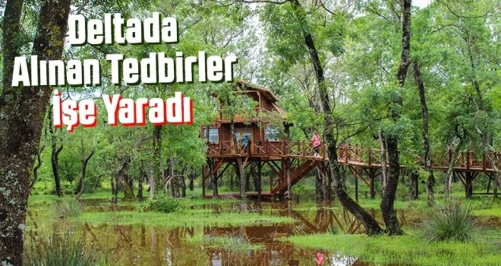 Deltada Alınan Tedbirler İşe Yaradı