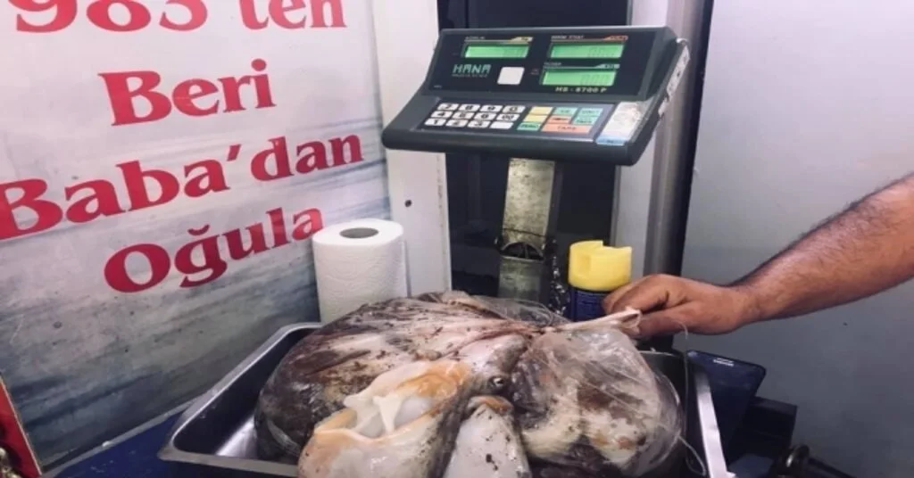 Didimde Kaçak Avlanan 2 Amatör Cezalandırıldı