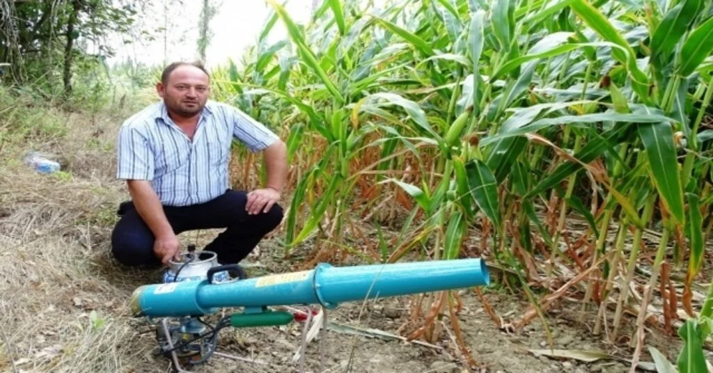 Domuzlara Karşı Ses Bombalı Önlem