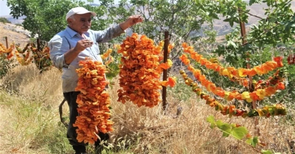 Elazığda Kış İçin ‘Kurutmalık Mesaisi  Başladı