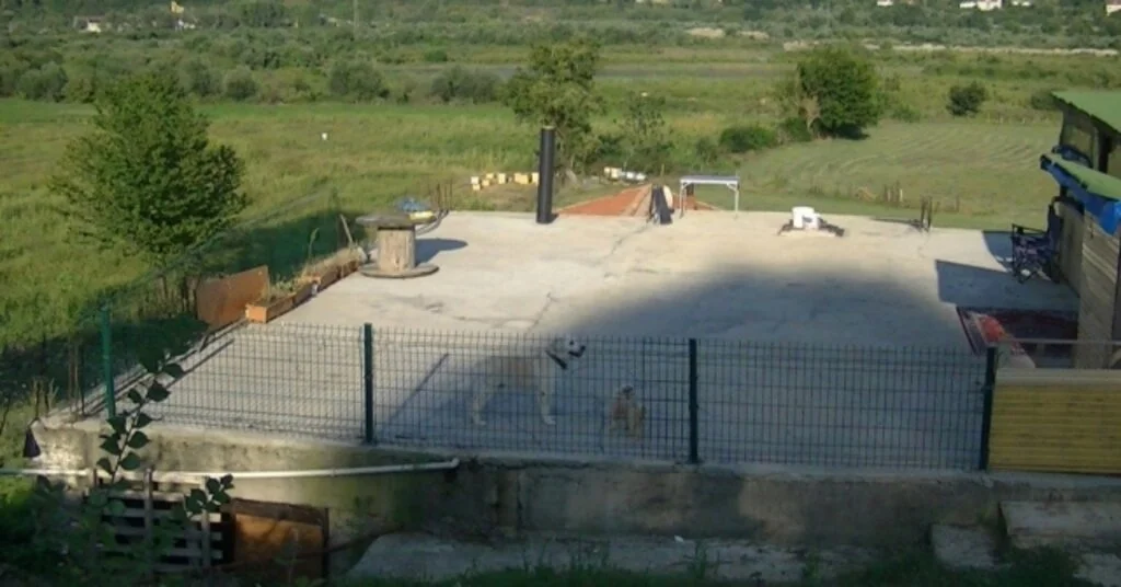 Emekli Askerin Beylik Tabancasıyla Vurulması
