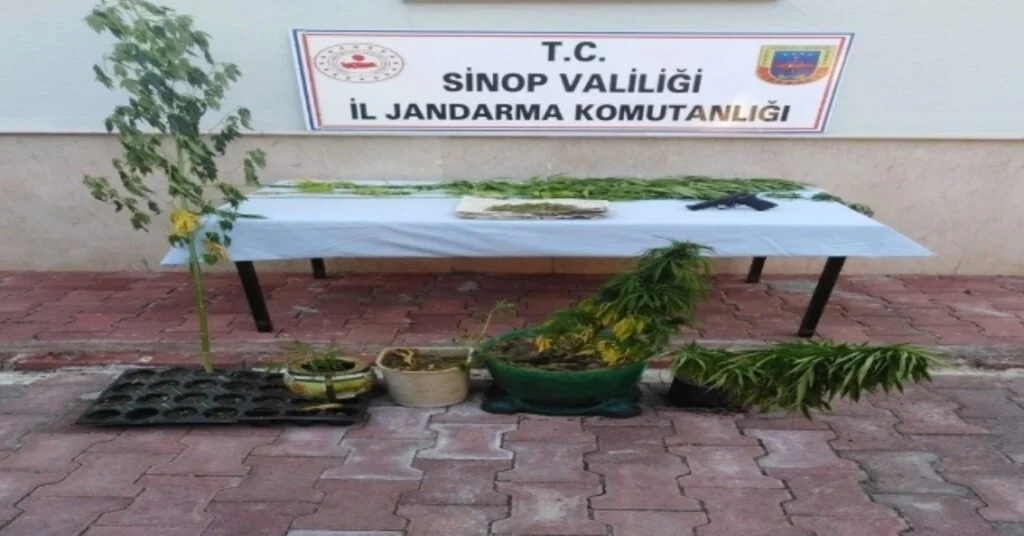Erfelekte Uyuşturucu Operasyonu