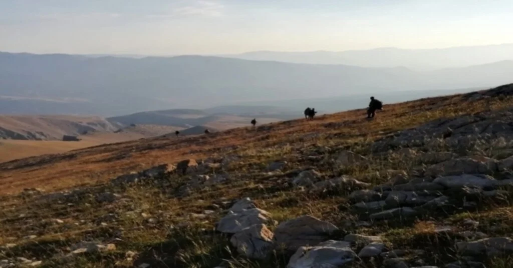Erzincanda 3 Teröristin Etkisiz Hale Getirildiği Bölgede Operasyonlar Sürüyor