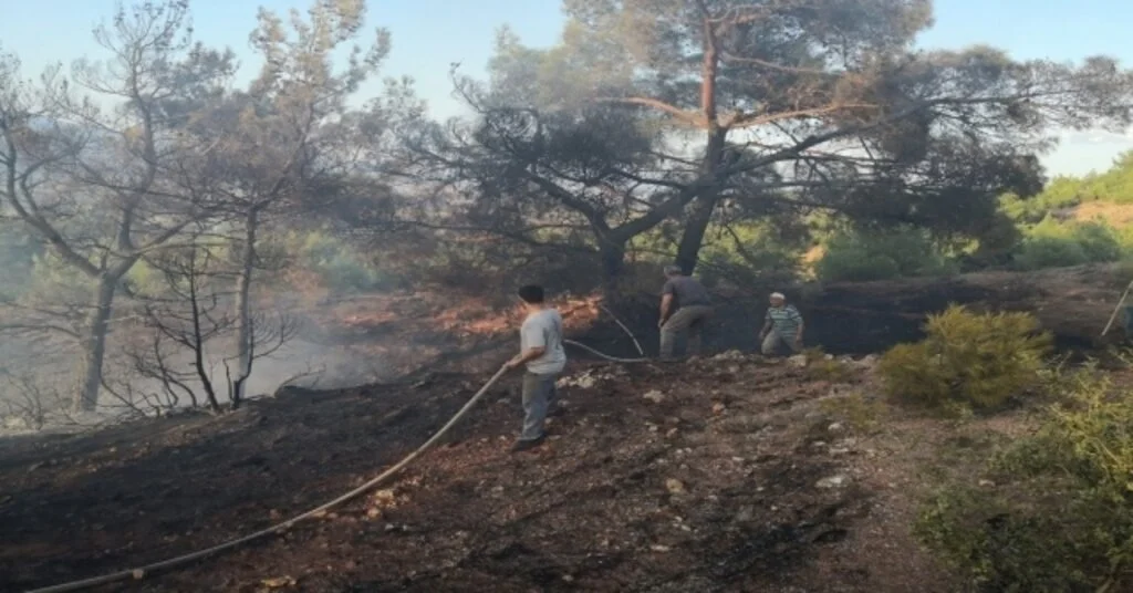 Eskişehirde Çıkan Orman Yangını Büyümeden Söndürüldü