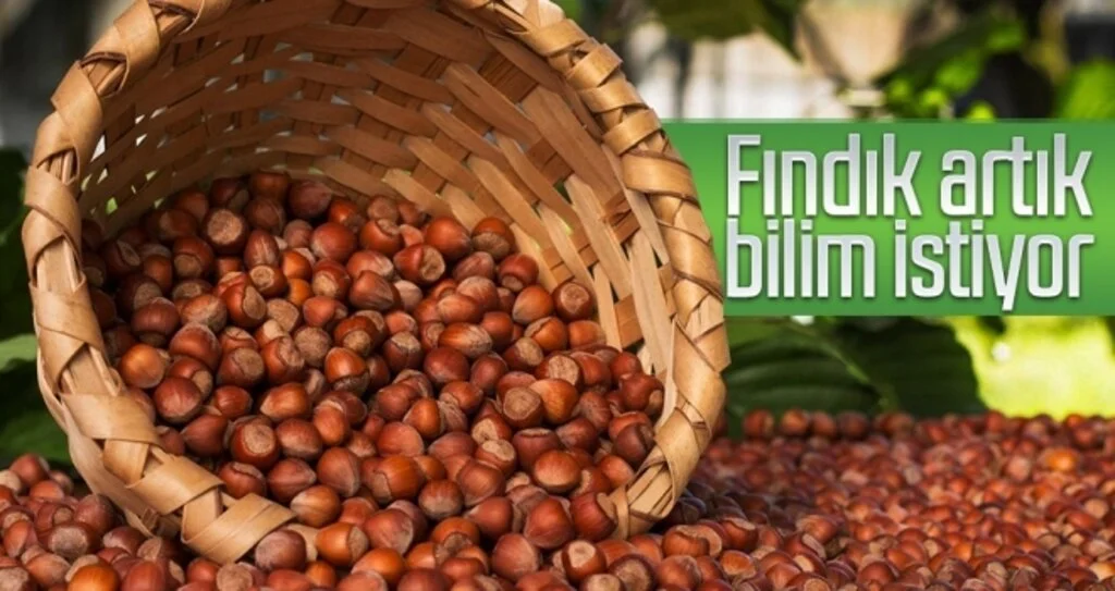 Fındık artık bilim istiyor