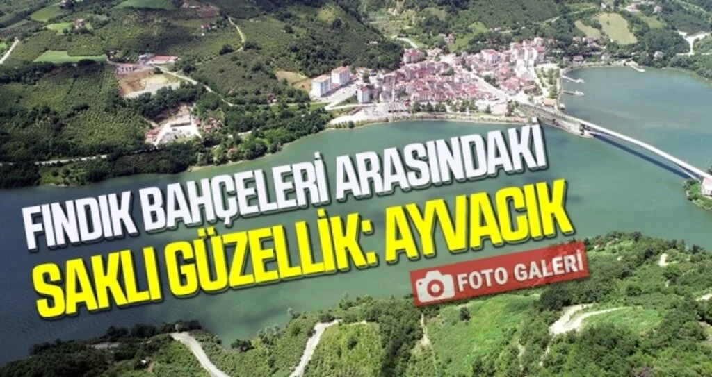 Fındık Bahçeleri Arasındaki Saklı Güzellik: Ayvacık