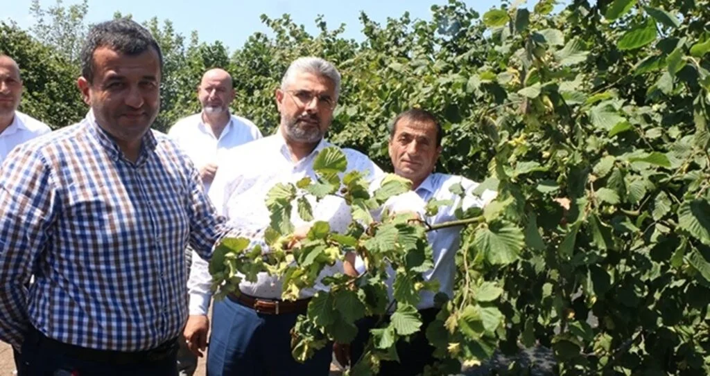 'Fındık üreticisi fiyattan memnun'