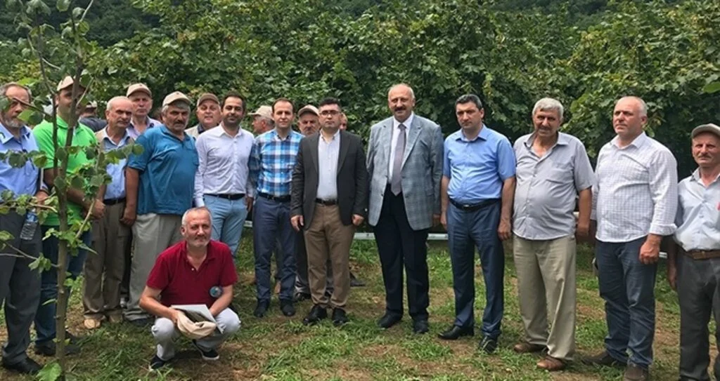 Fındık üretimi  yüz güldürüyor 