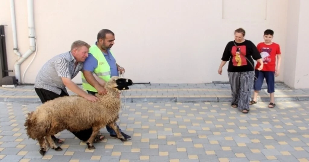 Görme Engelli Yetimin Kurban Hayali Gerçek Oldu