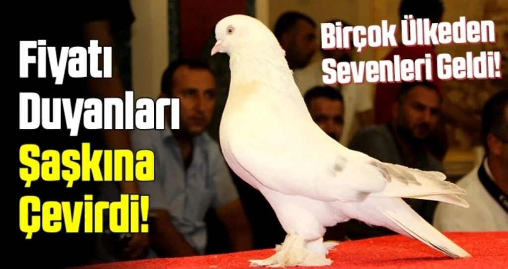 Güvencinlerin Fiyatı Dudak Uçuklattı!