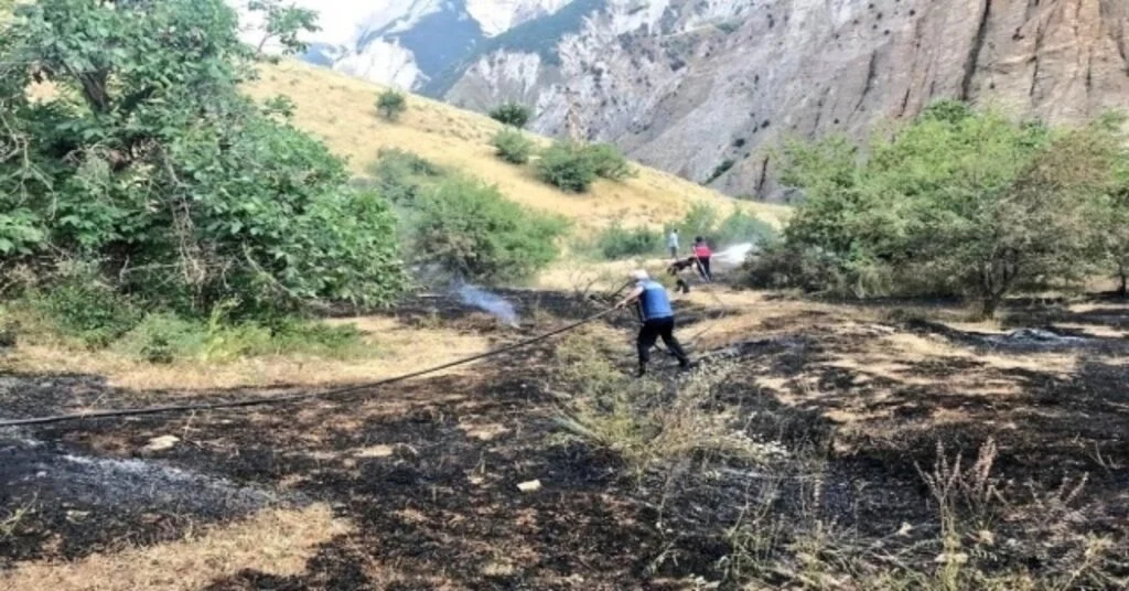 Hakkaride Anız Yangını