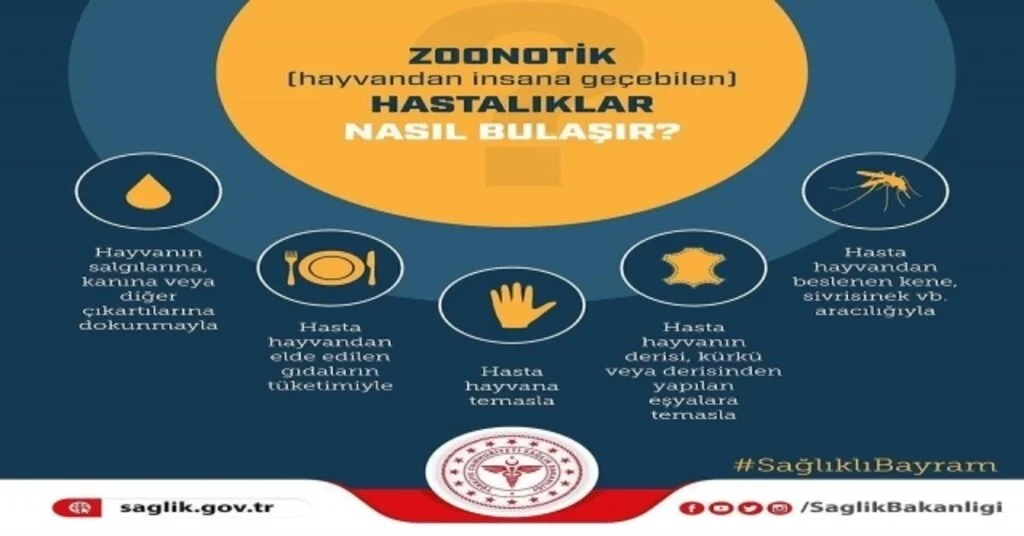 Hastaneden Zoonotik Uyarısı