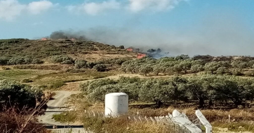 Hatayda Bitki Örtüsü Ve Zeytinlik Yangını Çıktı