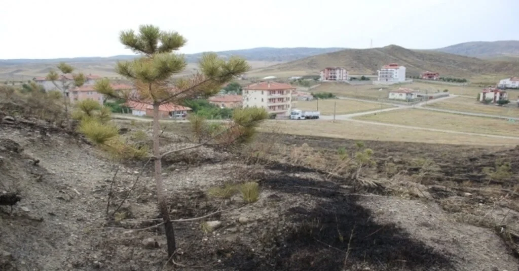 Havai Fişek Yangın Çıkarttı