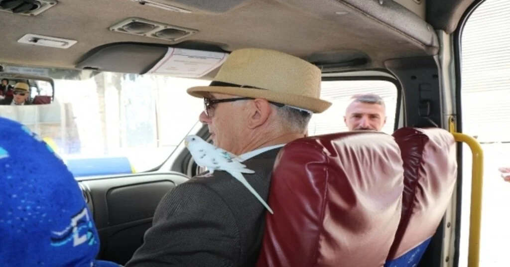 Her Yere Muhabbet Kuşu Bayazla Gidiyor