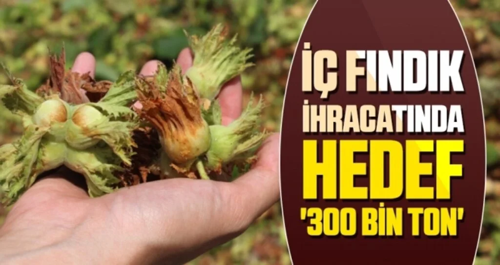 İç fındık ihracatında hedef '300 bin ton'