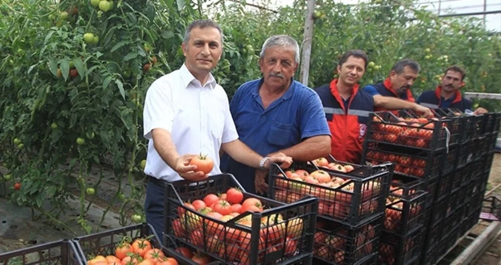 İlaç varsa hasat yok