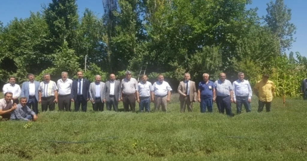 İsmail Emrah Karayel, Lavanta Denince Akla Kayseri Gelecek
