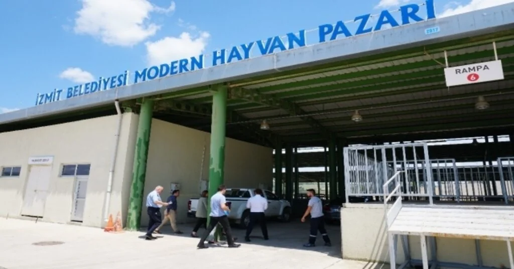 İzmitte Köylülere Özel Hayvan Satış Alanı