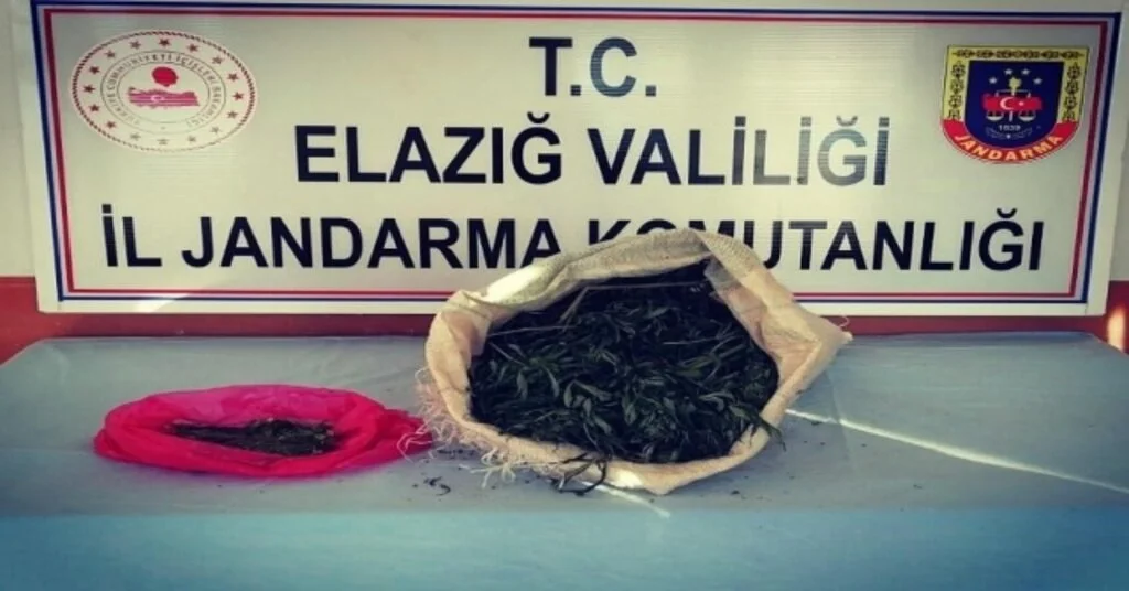 Jandarma Ekipleri, Uyuşturucu Tacirini 2 Kilo Esrarla  Yakaladı