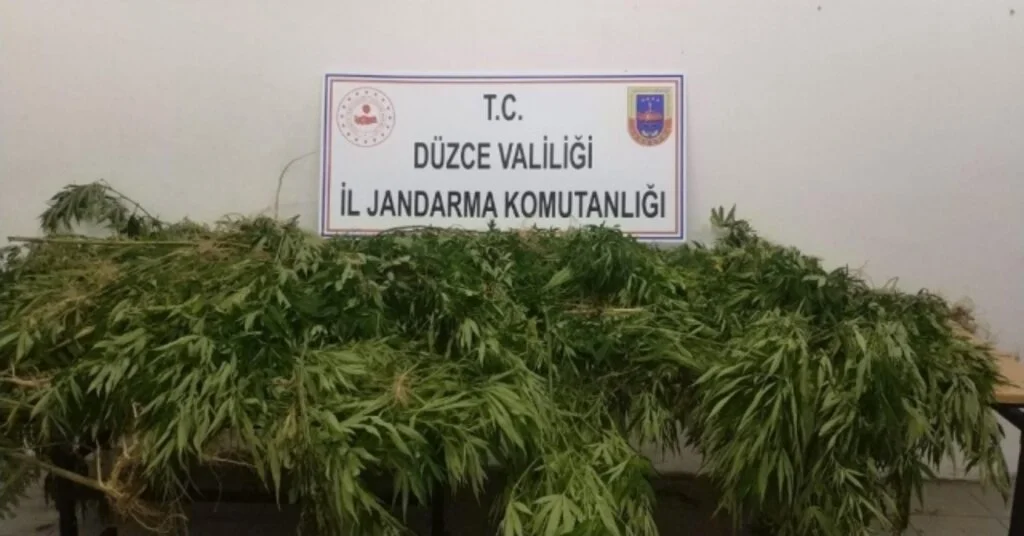 Jandarma Zehir Tacirlerine Geçit Yok