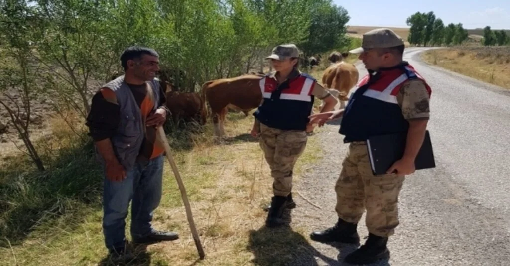 Jandarmadan Hayvan Hırsızlığına Karşı Uyarı