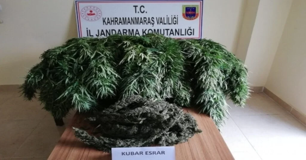 Kahramanmaraşta Uyuşturucu Operasyonu