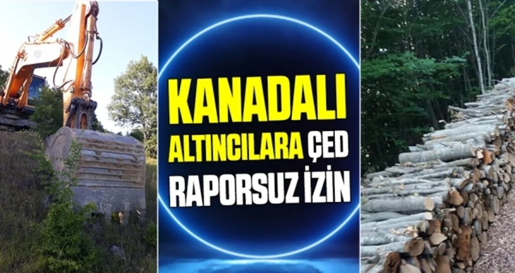 Kanadalı altıncılara ÇED raporsuz izin