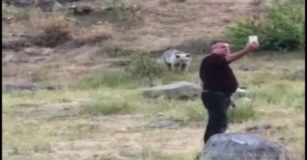 Karınları Acıkan Yavru Ayıları Kendi Elleriyle Beslediler