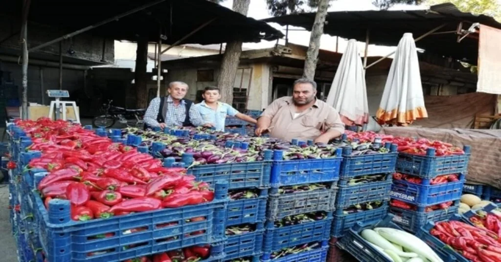 Kiliste Kurutmalık Patlıcanlar İle Biberler Piyasada