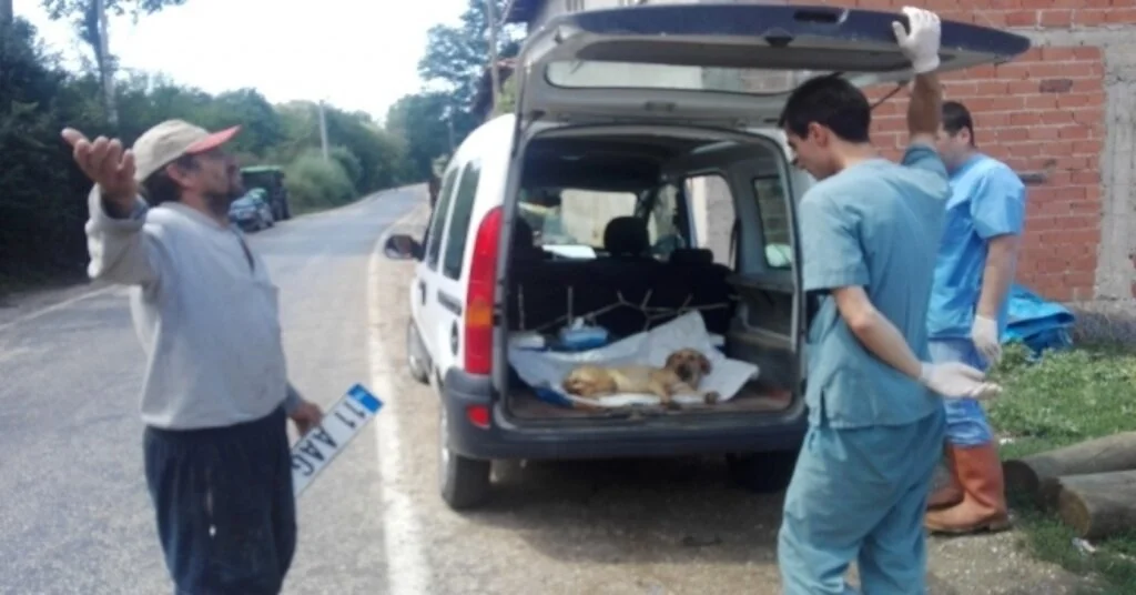 Köpeğe Çarpıp Kaçtı