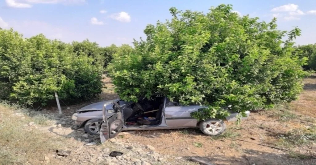 Kozanda Trafik Kazası: 1 Ölü, 3 Yaralı