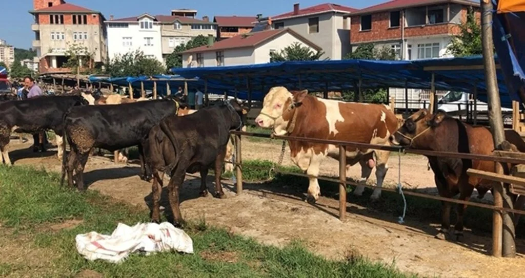 Kurban pazarında alıcı da satıcı da memnun değil 