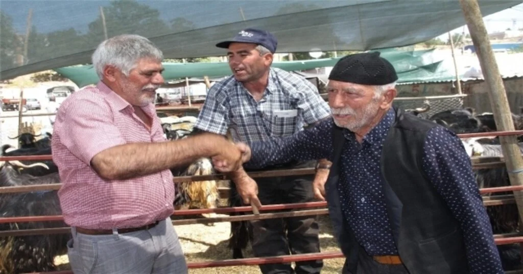 Kurban Pazarında Hareketlilik Arttı, Pazarlıklar Kızıştı