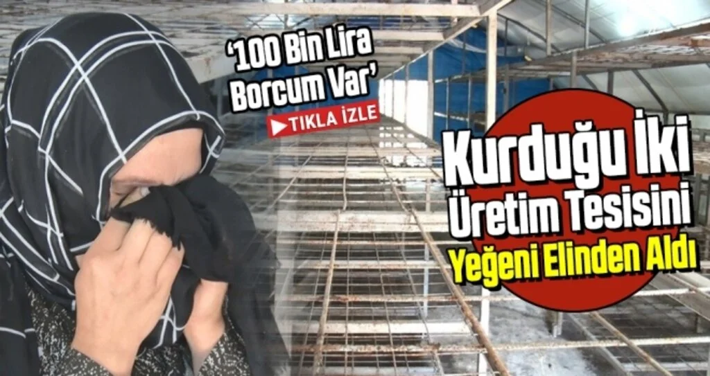 Kurduğu İki Mantar Üretim Tesisini Yeğeni Elinden Aldı