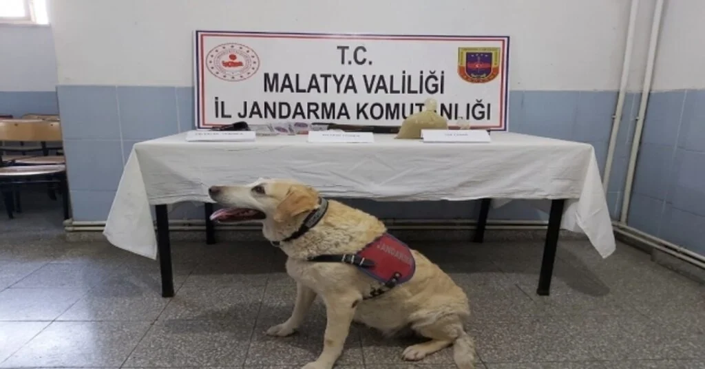 Malatyada Uyuşturucu Operasyonu: 1 Tutuklama