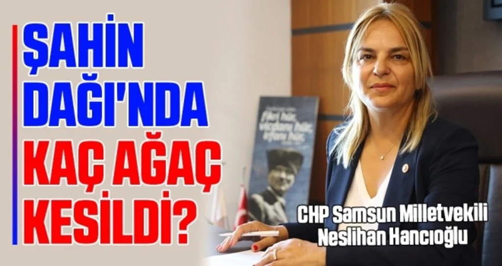 Milletvekili Hancıoğlu: Şahin Dağı'nda kaç ağaç kesildi?