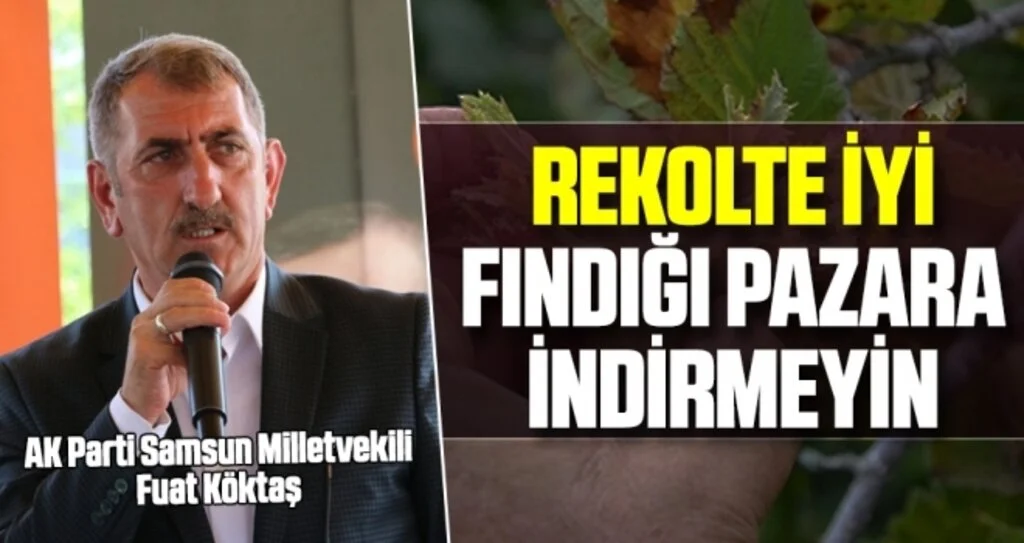 Milletvekili Köktaş: Rekolte iyi fındığı pazara indirmeyin