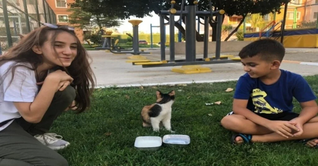 Minik Yüreklerden Sıcaktan Bunalan Yavru Kediye Can Suyu