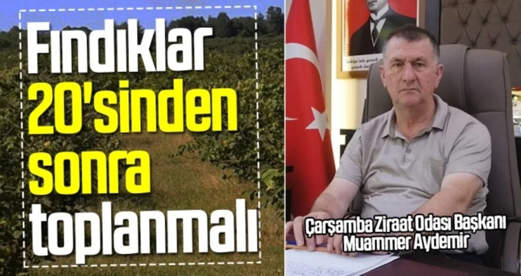 Muammer Aydemir: Fındıklar 20'sinden  sonra toplanmalı 