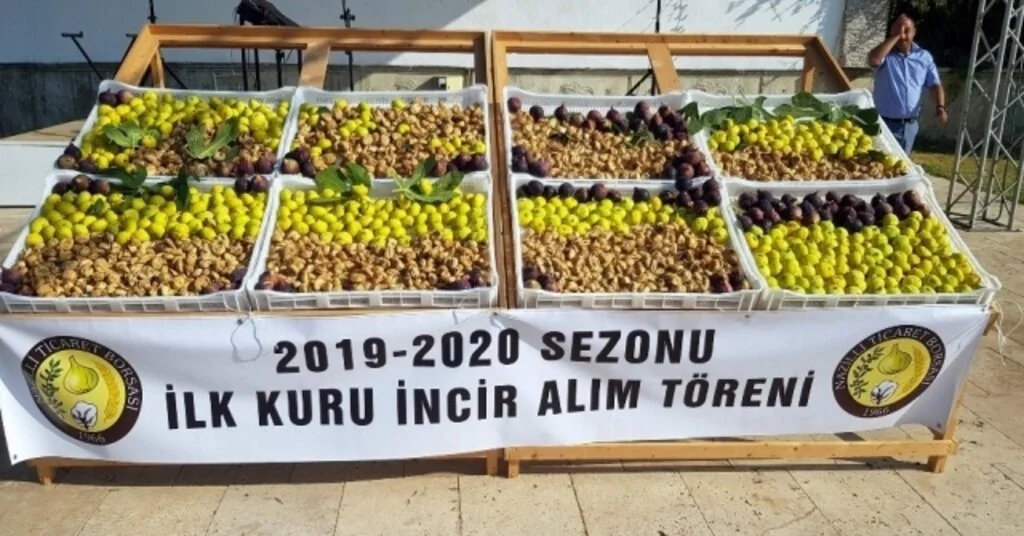 Nazillide Sezonun İlk İnciri 250 Tlden Alıcı Buldu