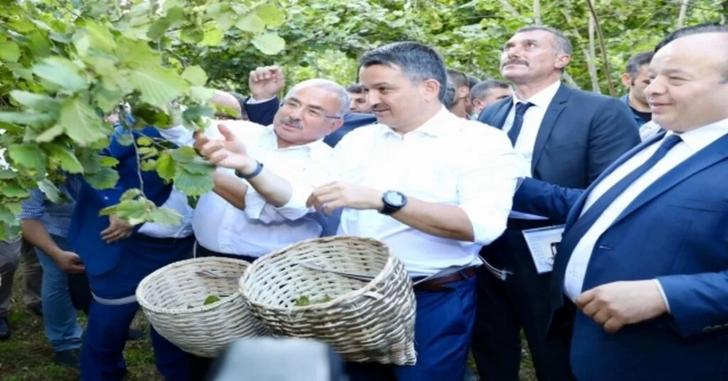 Orduda Fındık Hasadı 3 Ülkenin Tarım Bakanının Katılımıyla Başladı