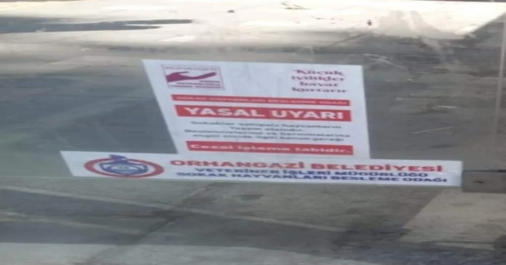 Orhangazide Sokak Hayvanları Sahipsiz Değil